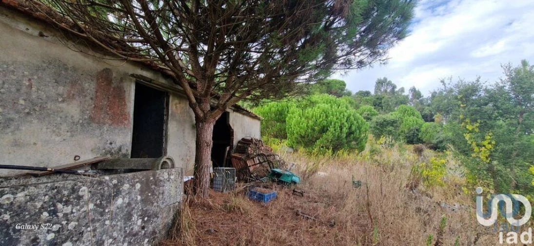 Terreno para Venda em Azueira e Sobral da Abelheira Foto 13
