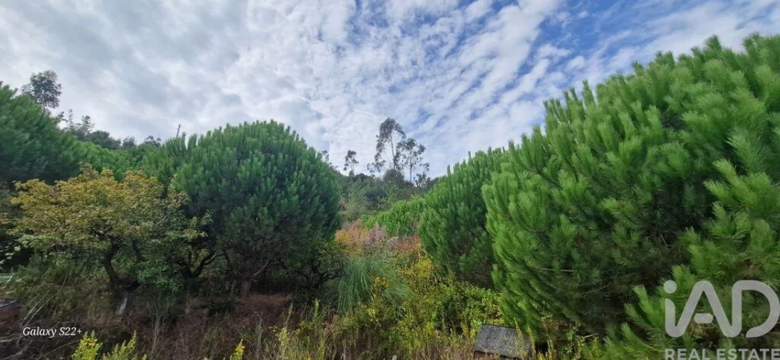 Terreno para Venda em Azueira e Sobral da Abelheira Foto 16