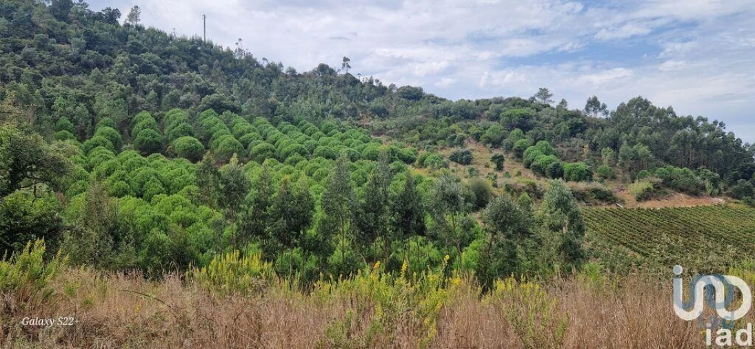 Terreno para Venda em Azueira e Sobral da Abelheira Foto 10