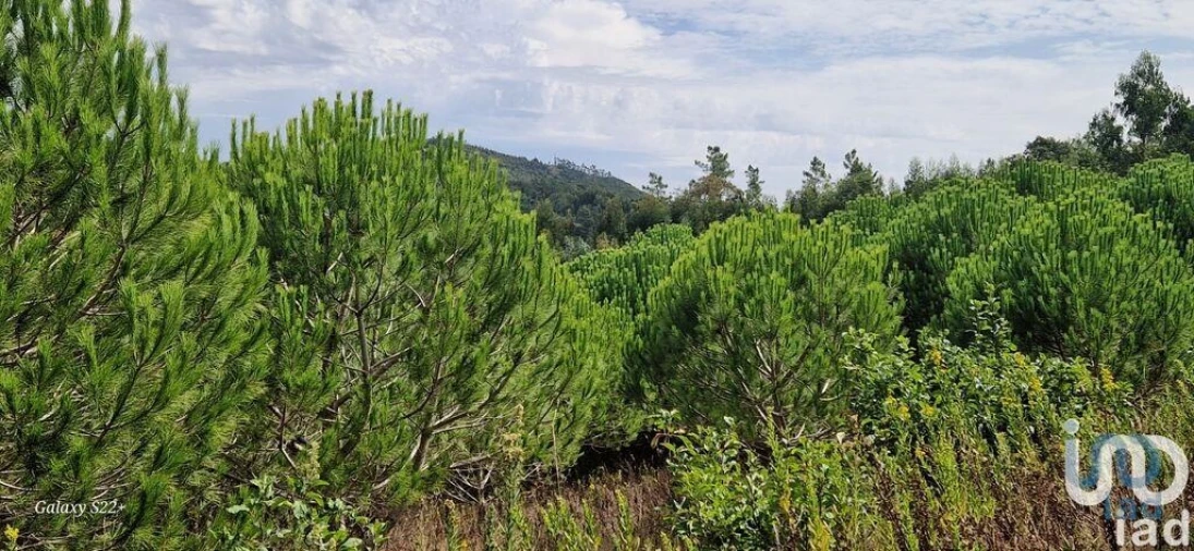 Terreno para Venda em Azueira e Sobral da Abelheira Foto 11