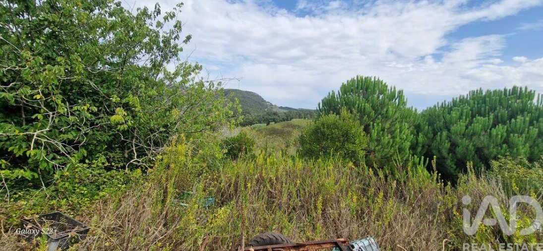 Terreno para Venda em Azueira e Sobral da Abelheira Foto 6