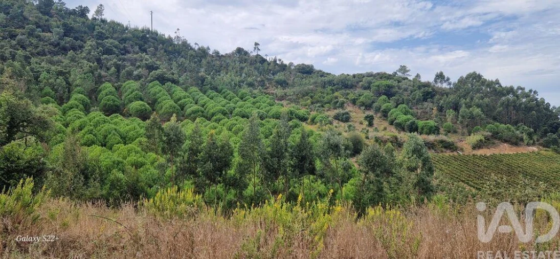 Terreno para Venda em Azueira e Sobral da Abelheira Foto 9