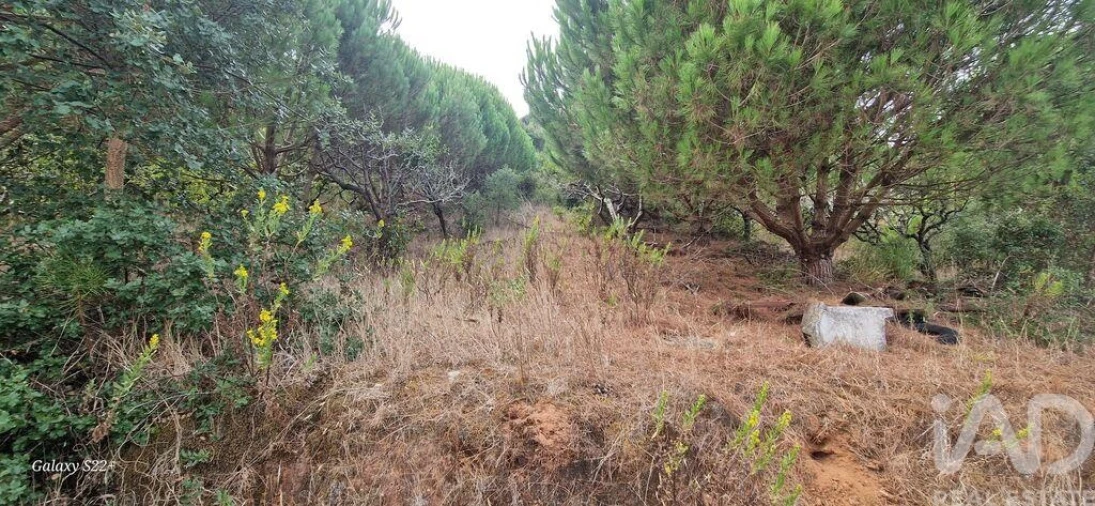 Terreno para Venda em Azueira e Sobral da Abelheira Foto 17