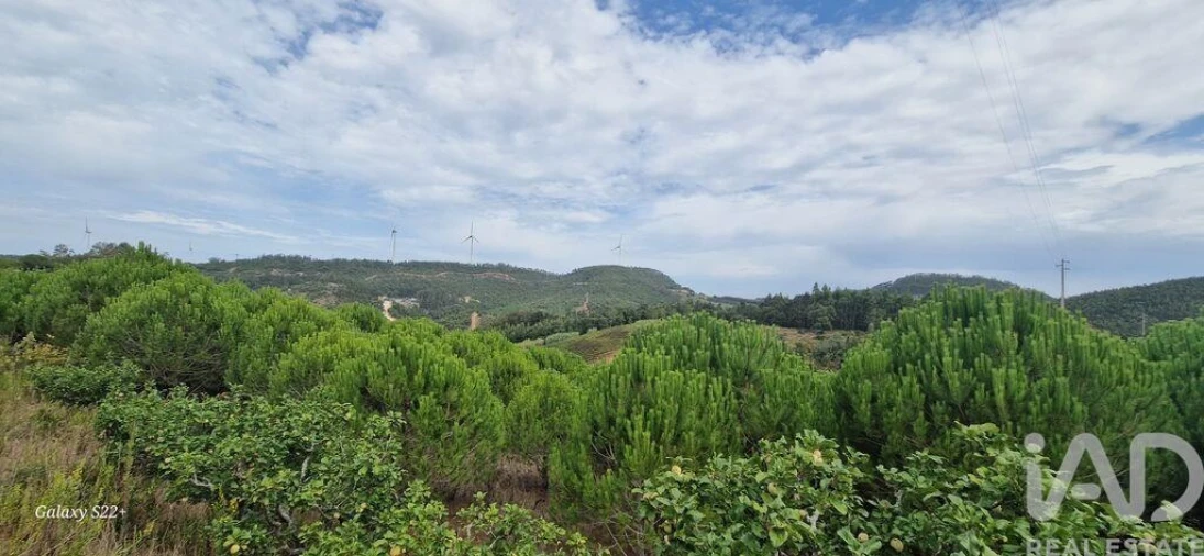 Terreno para Venda em Azueira e Sobral da Abelheira Foto 19