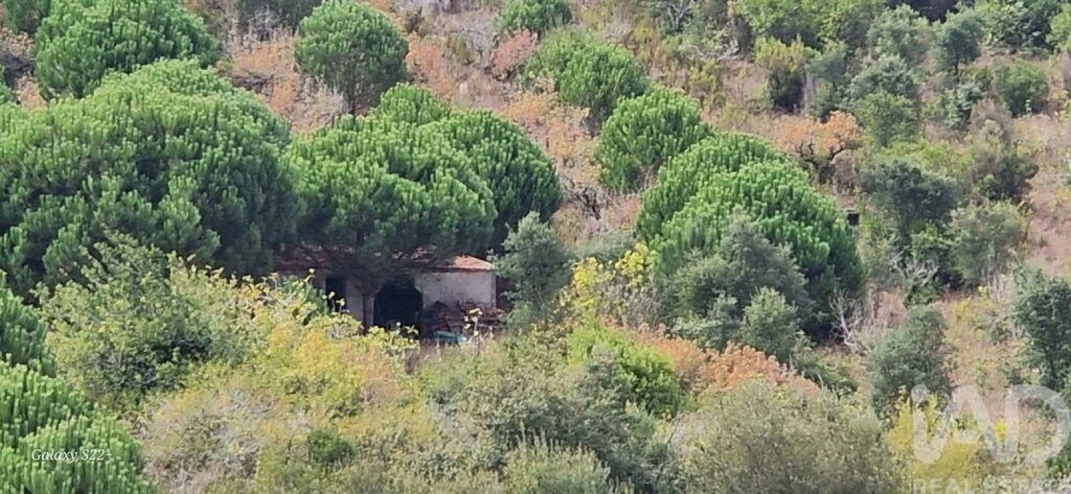 Terreno para Venda em Azueira e Sobral da Abelheira Foto 1