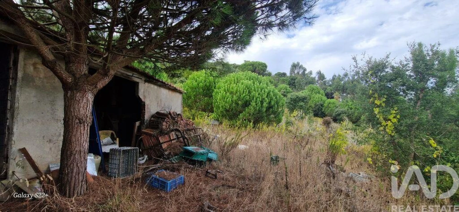 Terreno para Venda em Azueira e Sobral da Abelheira Foto 15