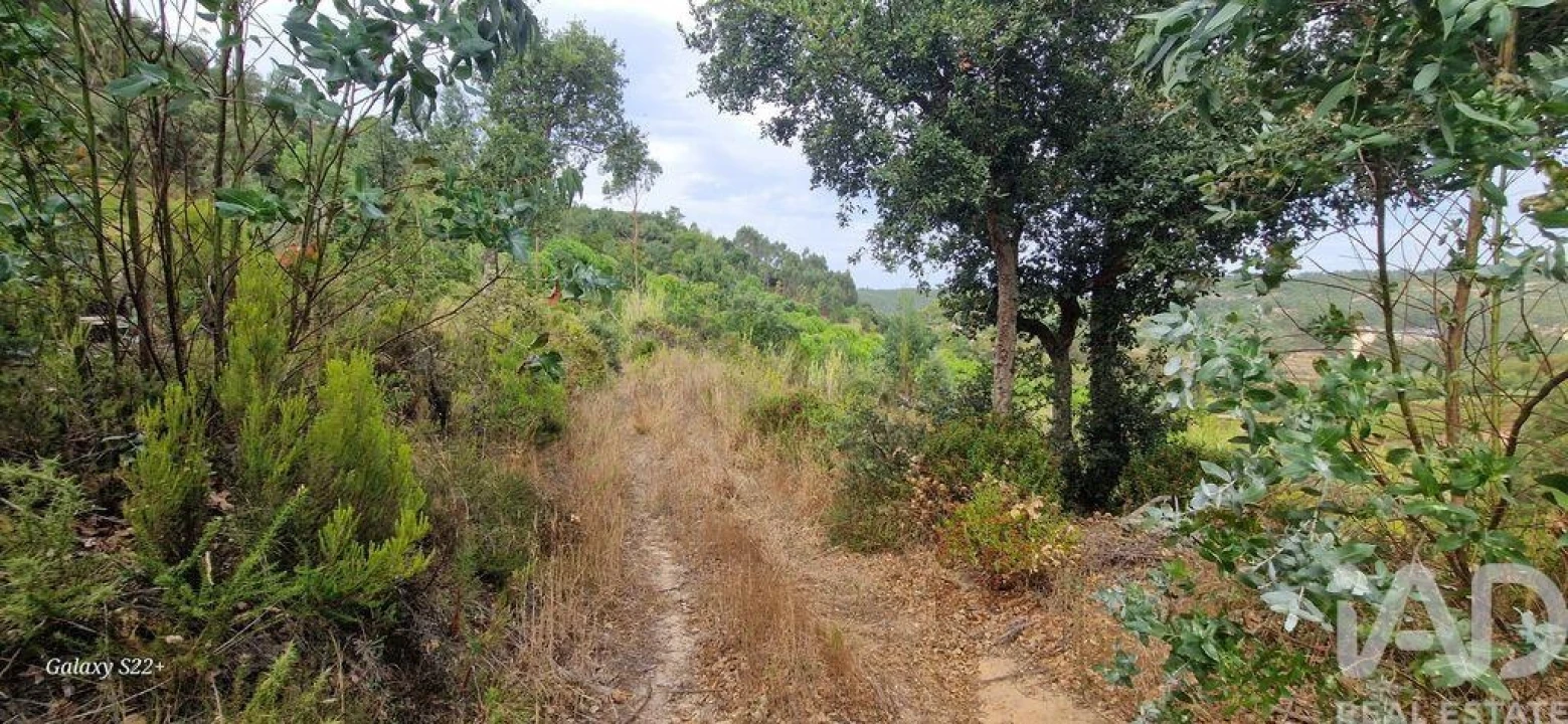 Terreno para Venda em Azueira e Sobral da Abelheira Foto 18