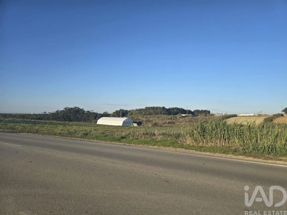 Terreno para Venda em Atouguia da Baleia Foto 2