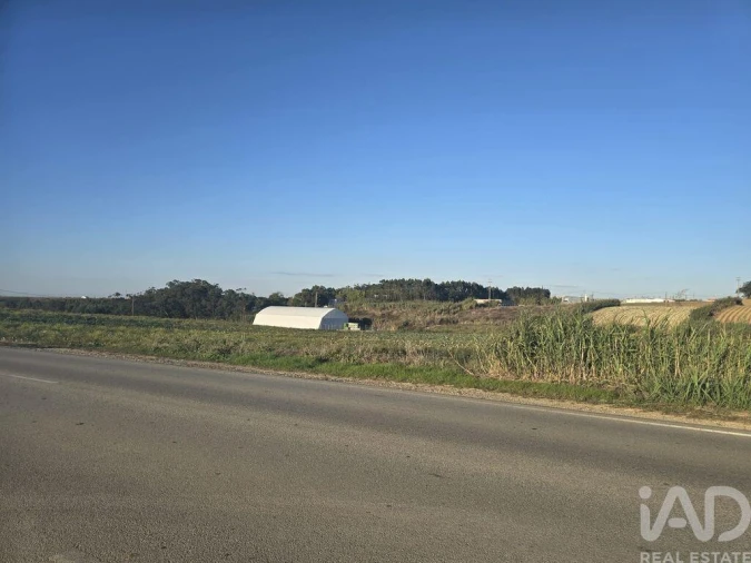 Terreno para Venda em Atouguia da Baleia Foto 2