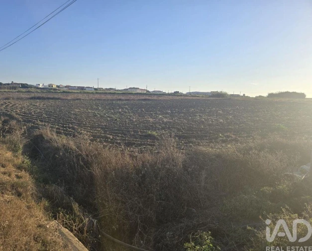 Terreno para Venda em Atouguia da Baleia Foto 6
