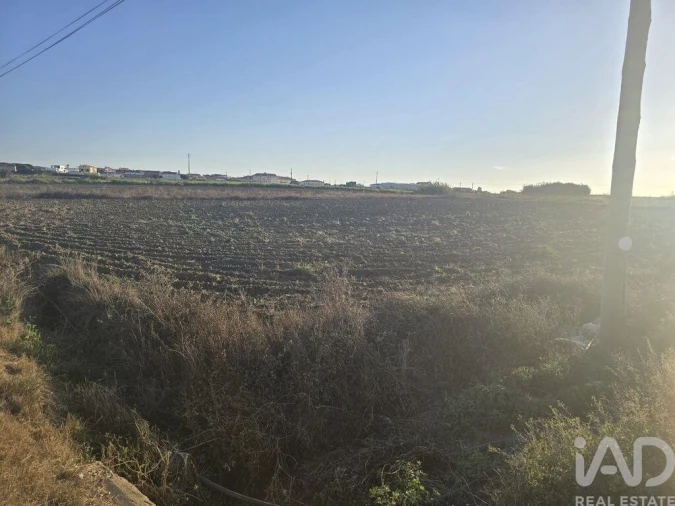 Terreno para Venda em Atouguia da Baleia Foto 7
