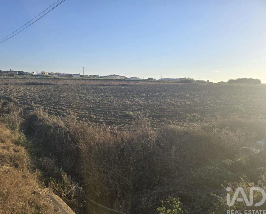 Terreno para Venda em Atouguia da Baleia Foto 6