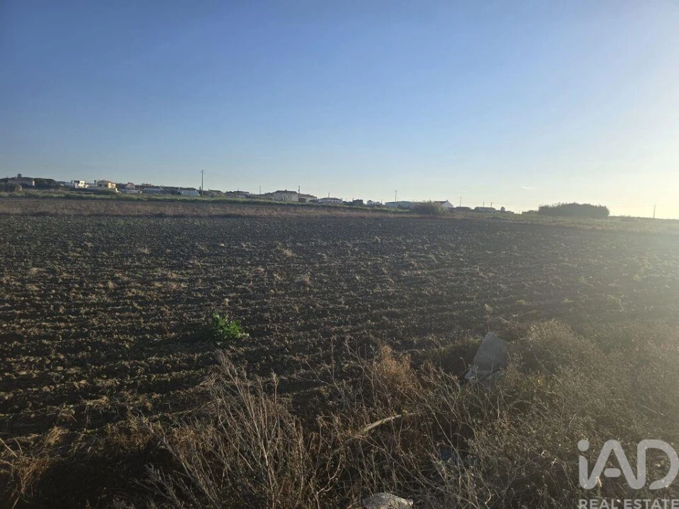 Terreno para Venda em Atouguia da Baleia Foto 8