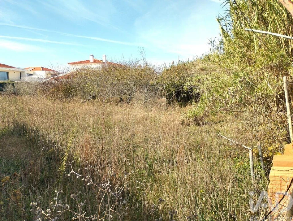 Moradia T3 para Venda em Santa Maria e São Miguel, São Martinho, São Pedro Penaferrim Foto 30