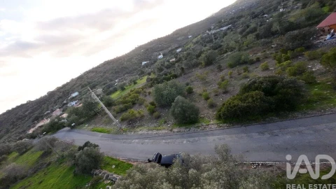 Terreno para Venda em Conceição e Estoi