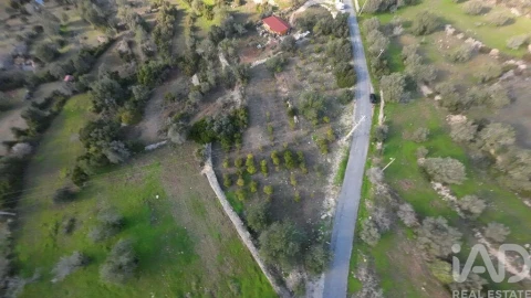 Terreno para Venda em Conceição e Estoi