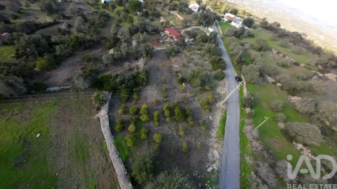 Terreno para Venda em Conceição e Estoi