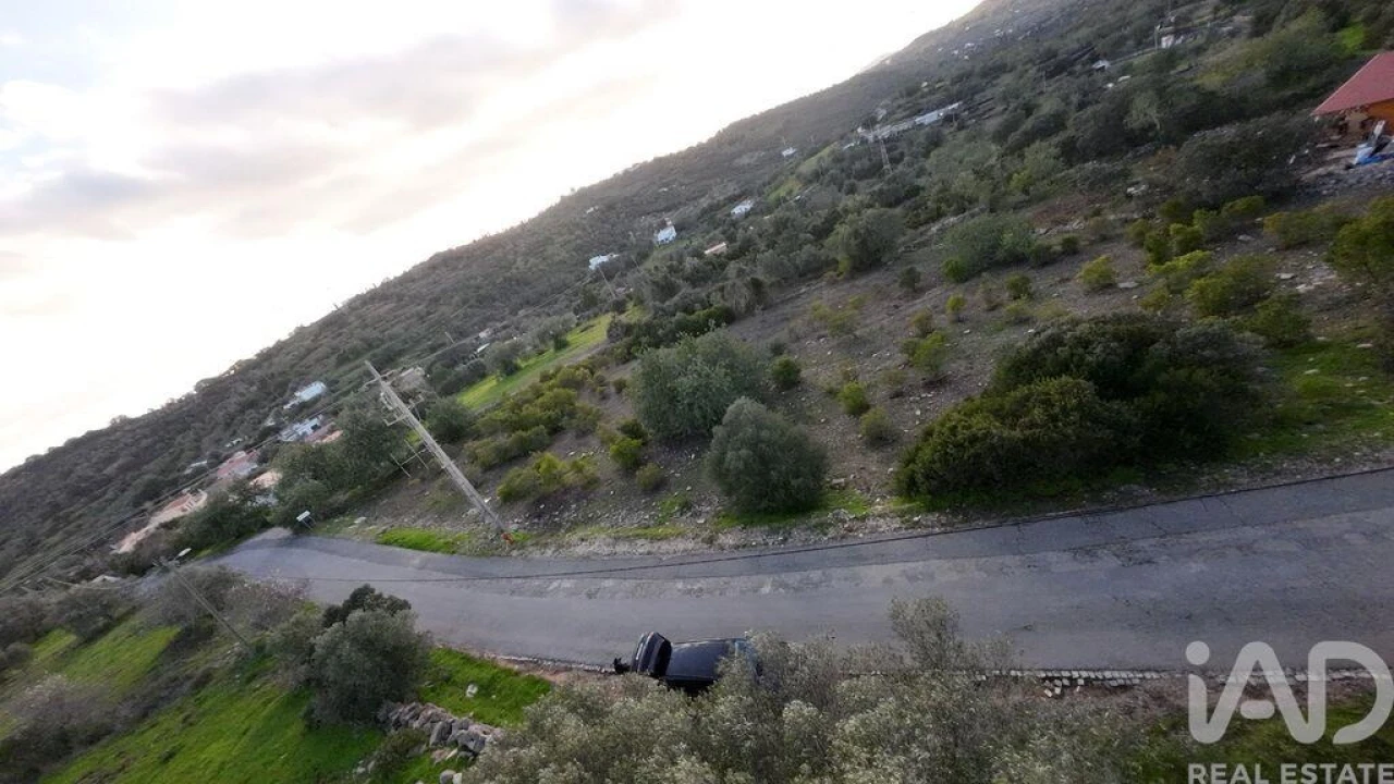 Terreno para Venda em Conceição e Estoi Foto 2