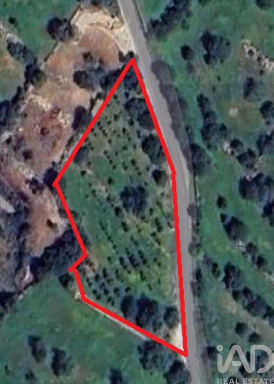 Terreno para Venda em Conceição e Estoi Foto 1