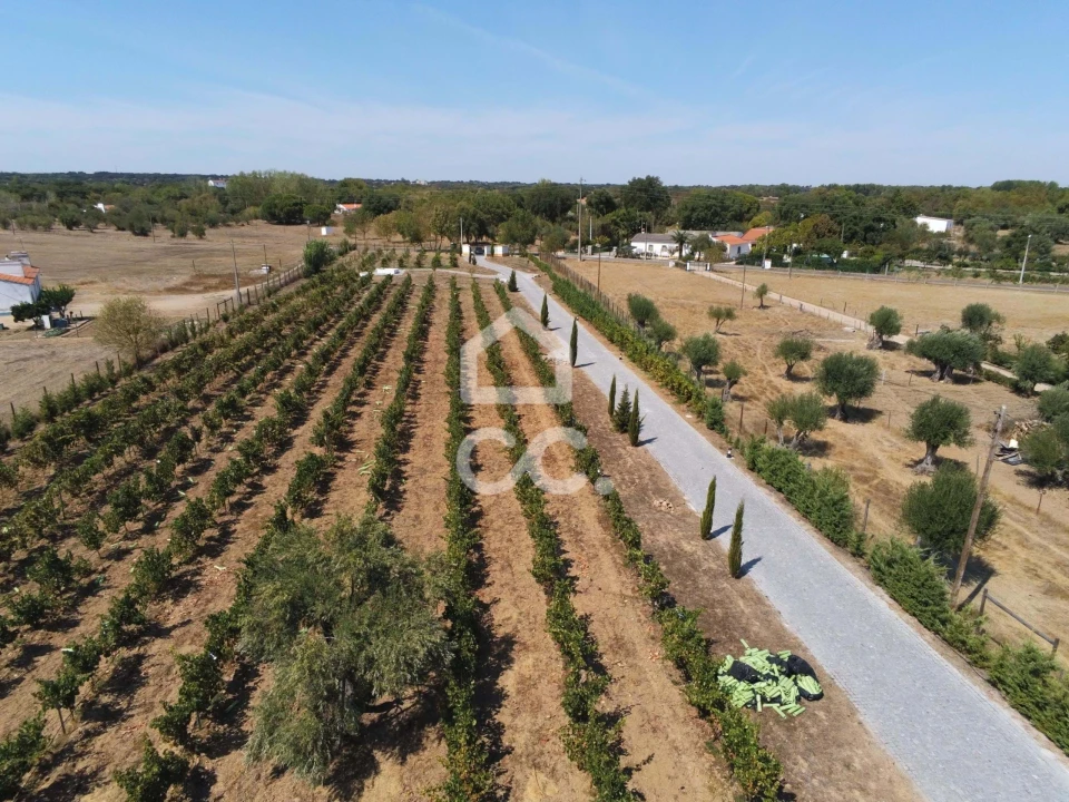 Quinta T6 para Venda em Bacelo e Senhora da Saúde Foto 36