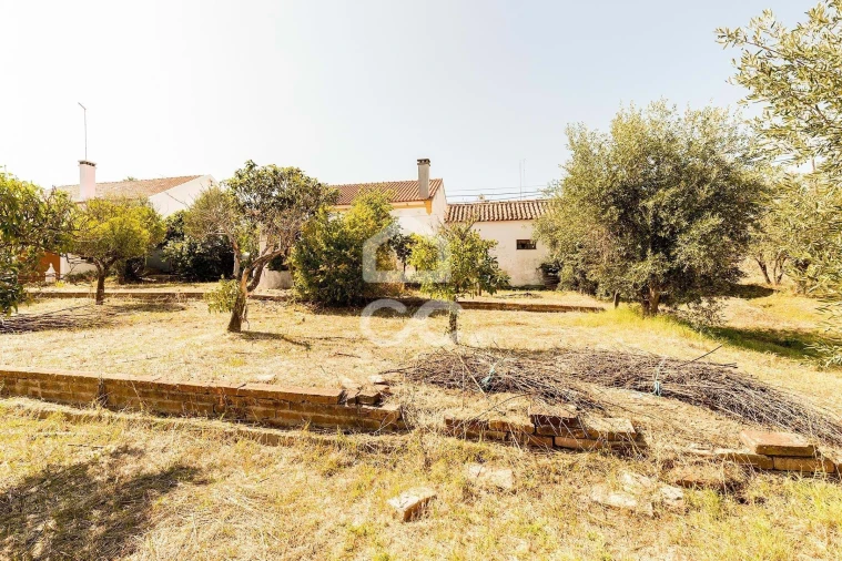 Moradia T2 para Venda em São Bento do Mato Foto 39