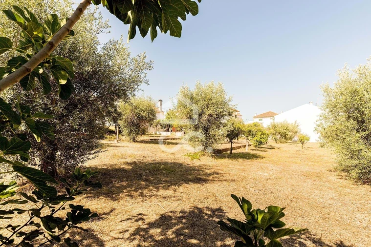 Moradia T2 para Venda em São Bento do Mato Foto 35