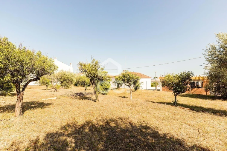 Moradia T2 para Venda em São Bento do Mato Foto 38