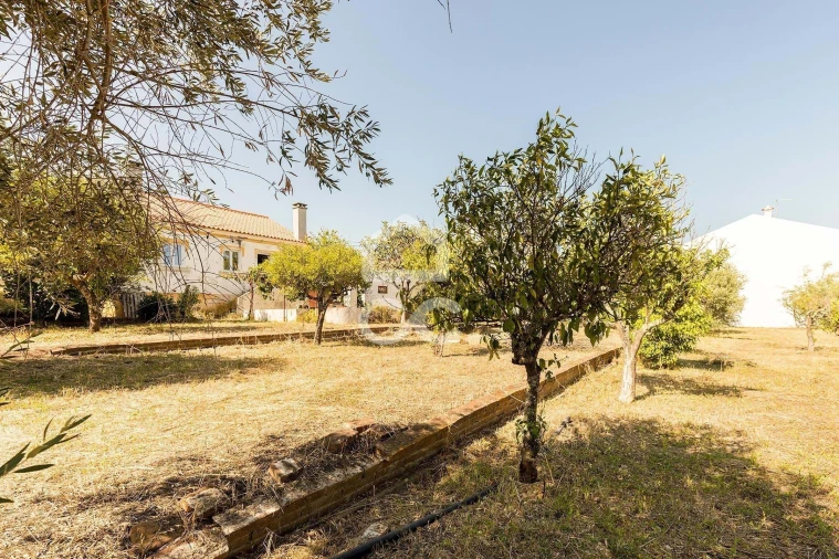 Moradia T2 para Venda em São Bento do Mato Foto 34