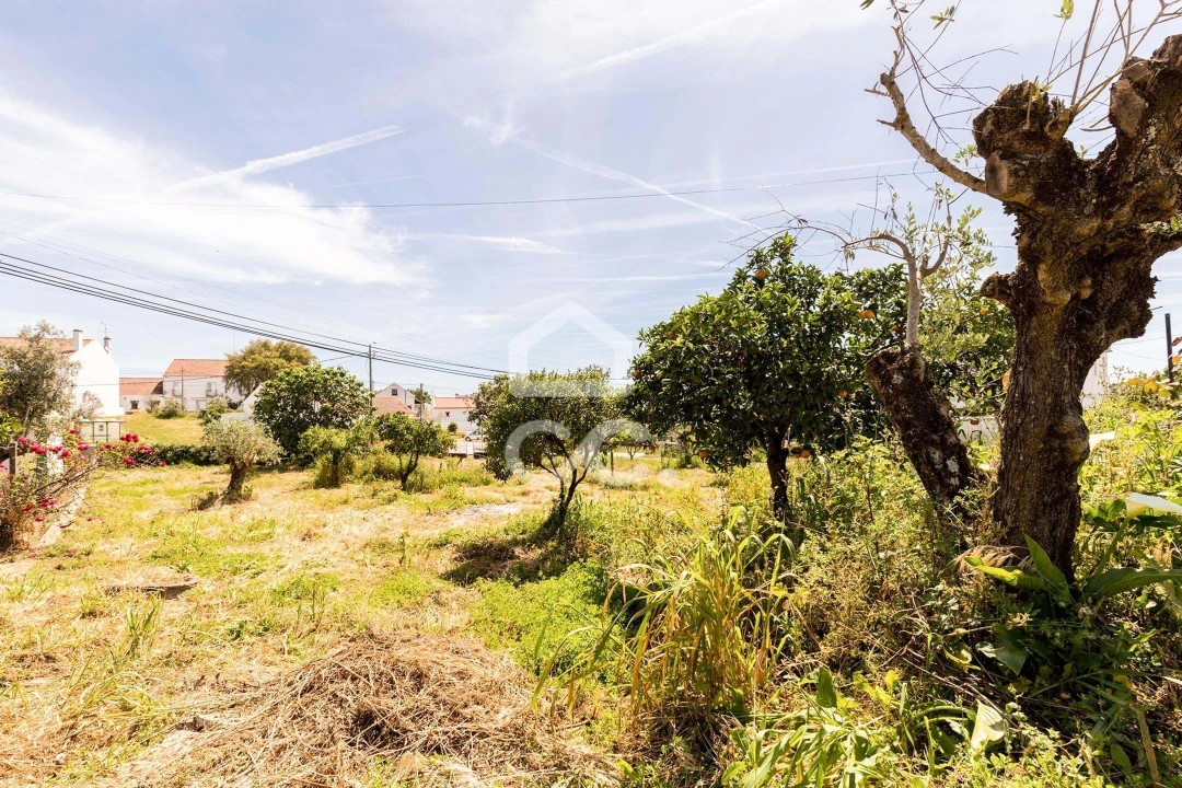 Quinta T2 para Venda em São Sebastião da Giesteira e Nossa Senhora da Boa Fé Foto 30