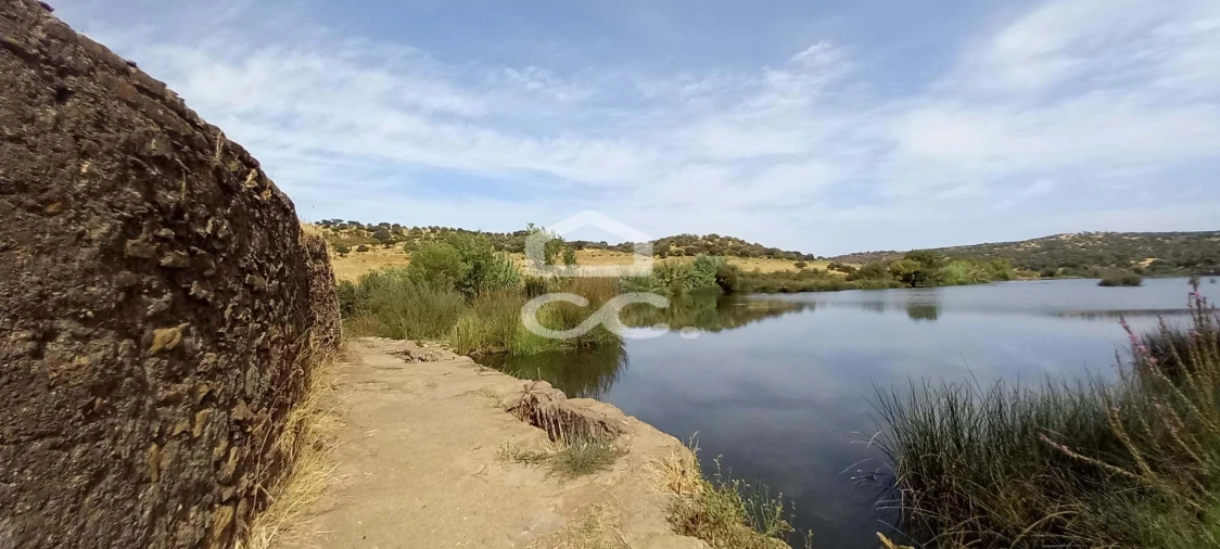 Quinta T5 para Venda em Serpa (Salvador e Santa Maria) Foto 75