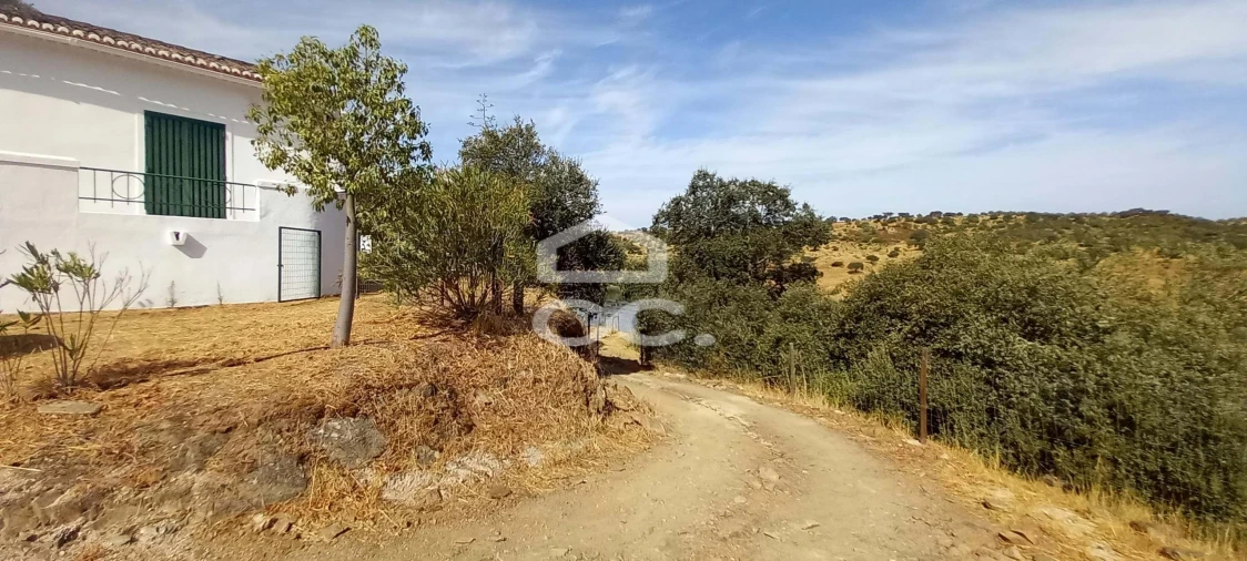 Quinta T5 para Venda em Serpa (Salvador e Santa Maria) Foto 26