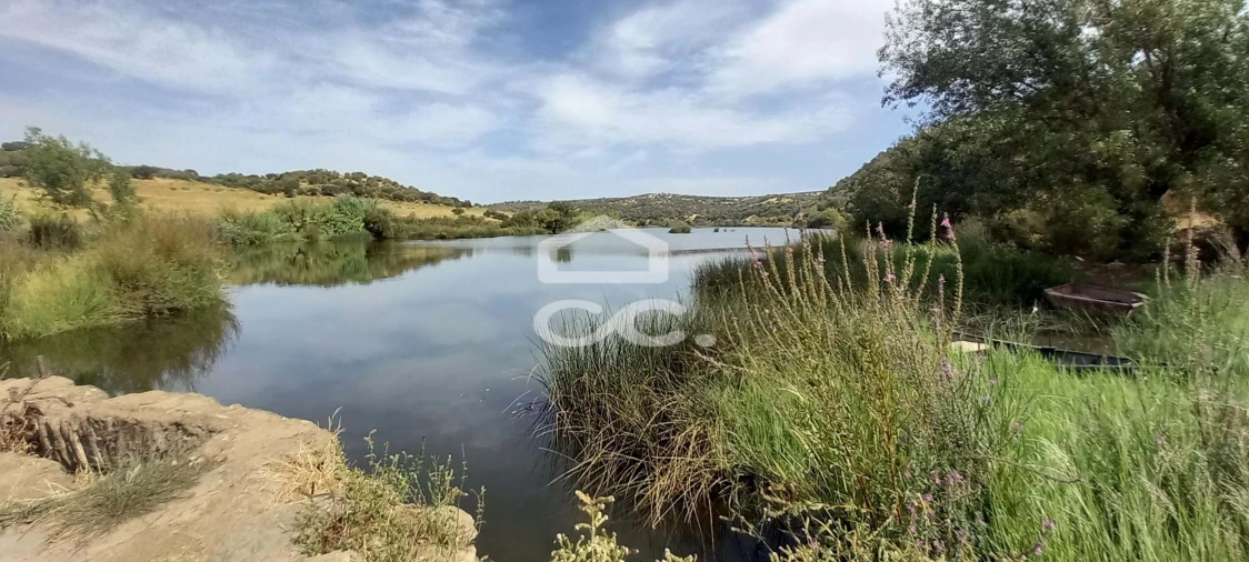 Quinta T5 para Venda em Serpa (Salvador e Santa Maria) Foto 76