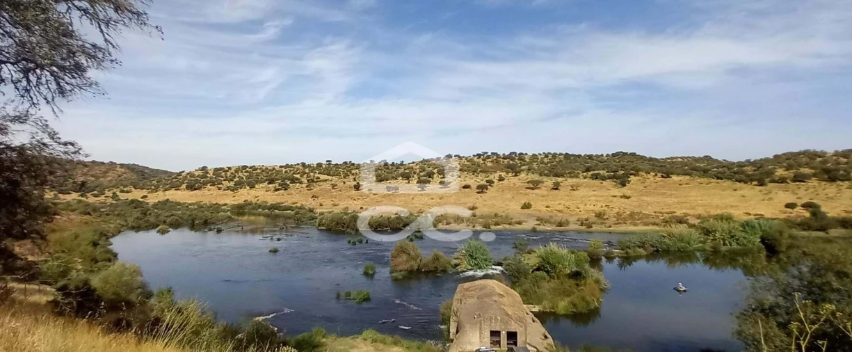 Quinta T5 para Venda em Serpa (Salvador e Santa Maria) Foto 5