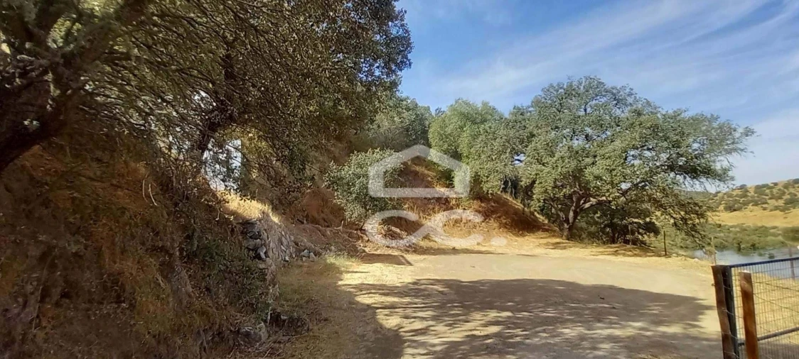 Quinta T5 para Venda em Serpa (Salvador e Santa Maria) Foto 28