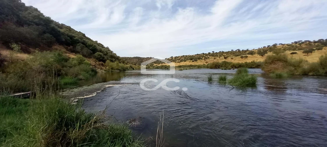 Quinta T5 para Venda em Serpa (Salvador e Santa Maria) Foto 3