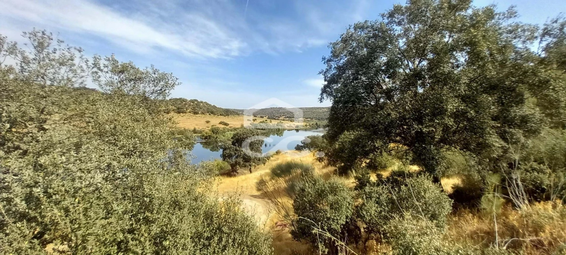 Quinta T5 para Venda em Serpa (Salvador e Santa Maria) Foto 27
