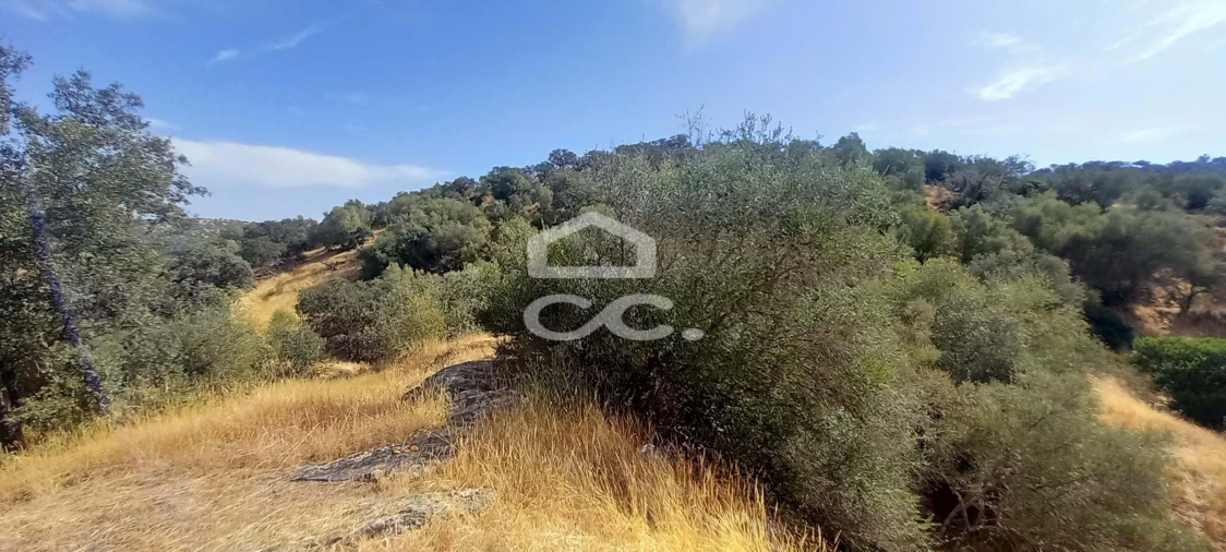 Quinta T5 para Venda em Serpa (Salvador e Santa Maria) Foto 23