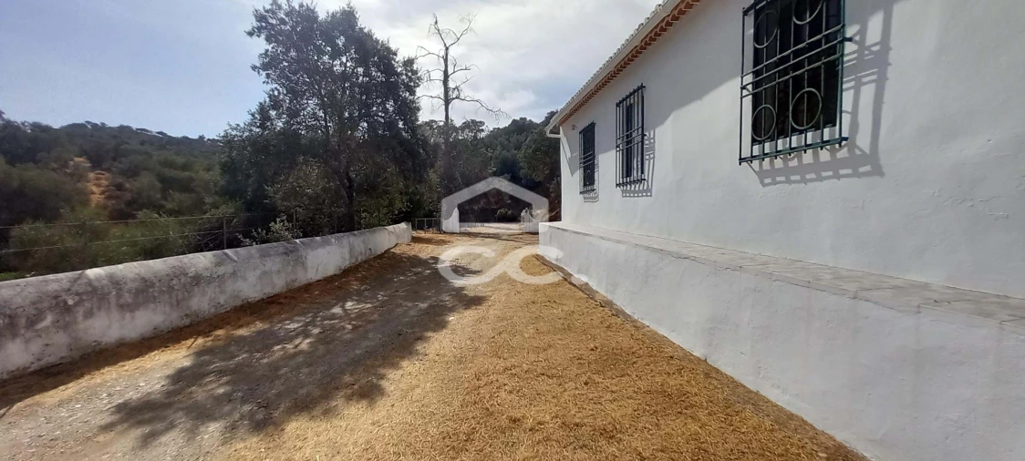 Quinta T5 para Venda em Serpa (Salvador e Santa Maria) Foto 39