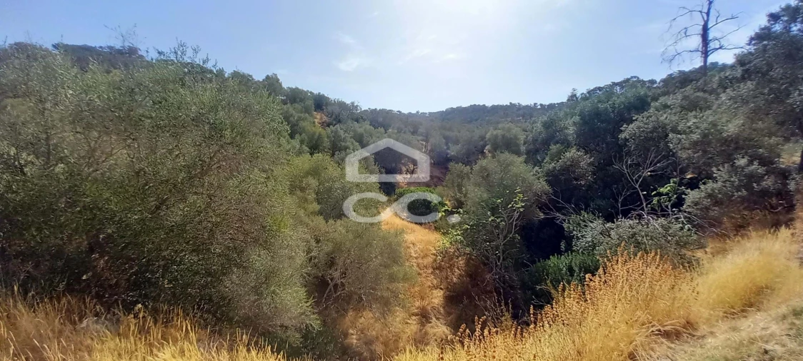 Quinta T5 para Venda em Serpa (Salvador e Santa Maria) Foto 24