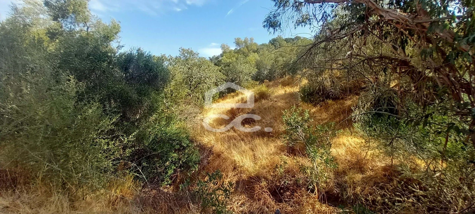 Quinta T5 para Venda em Serpa (Salvador e Santa Maria) Foto 20