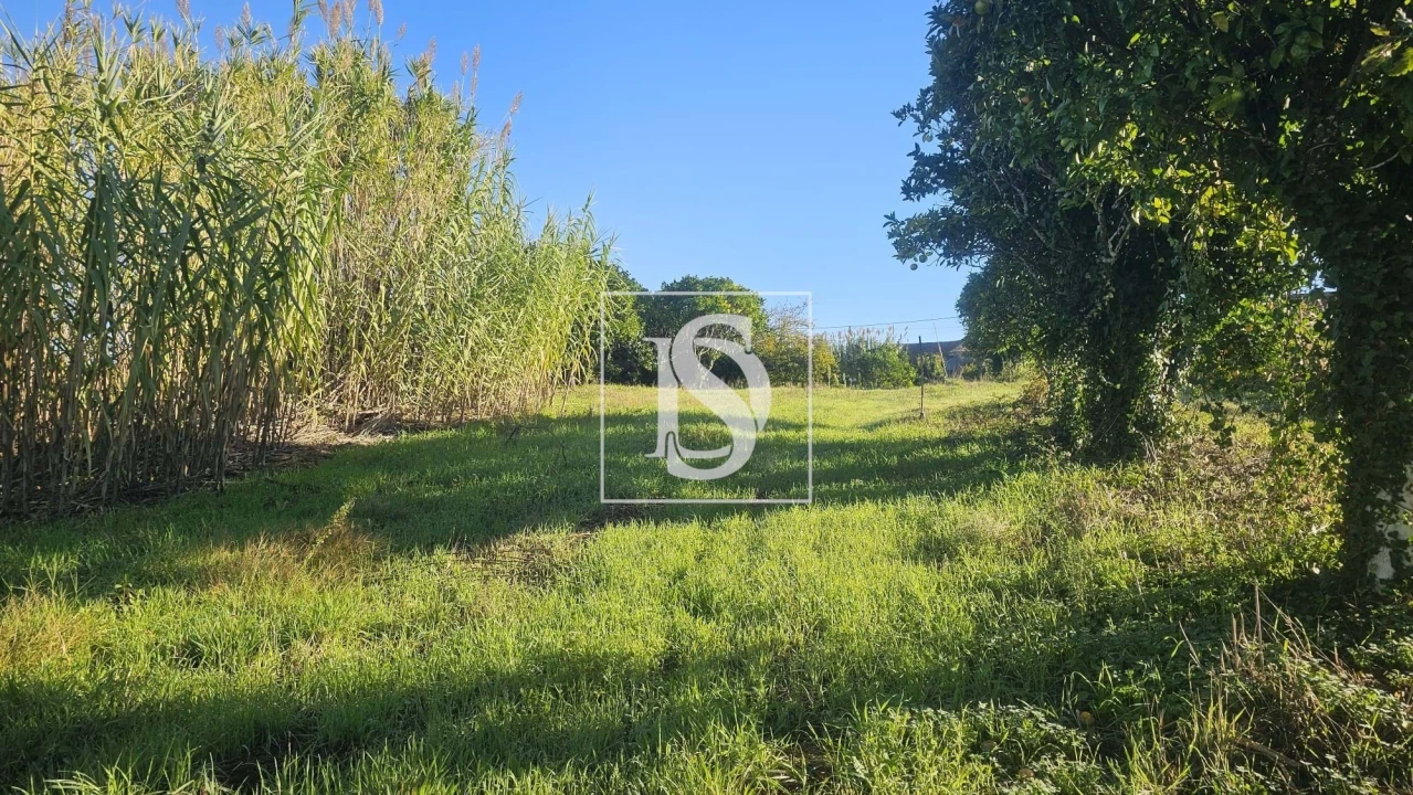 Terreno para Venda em Alqueidão Foto 20