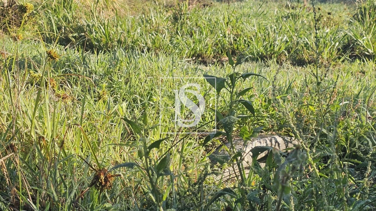 Terreno para Venda em Alqueidão Foto 13