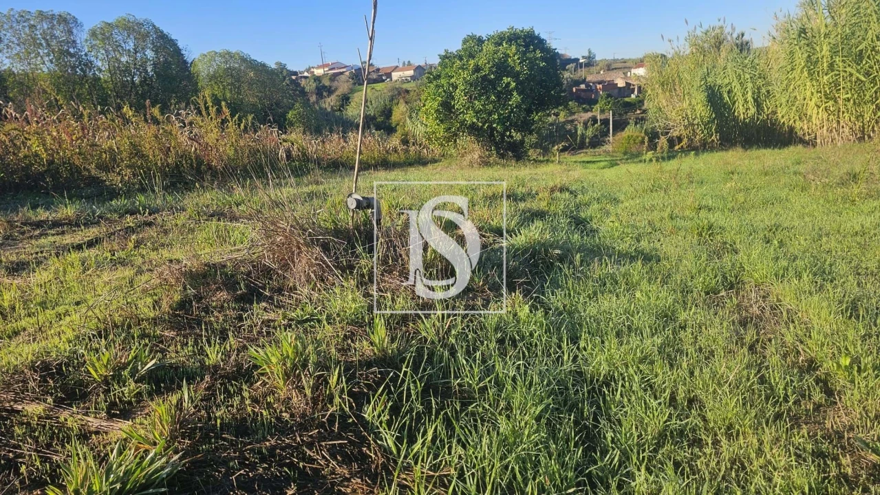 Terreno para Venda em Alqueidão Foto 31