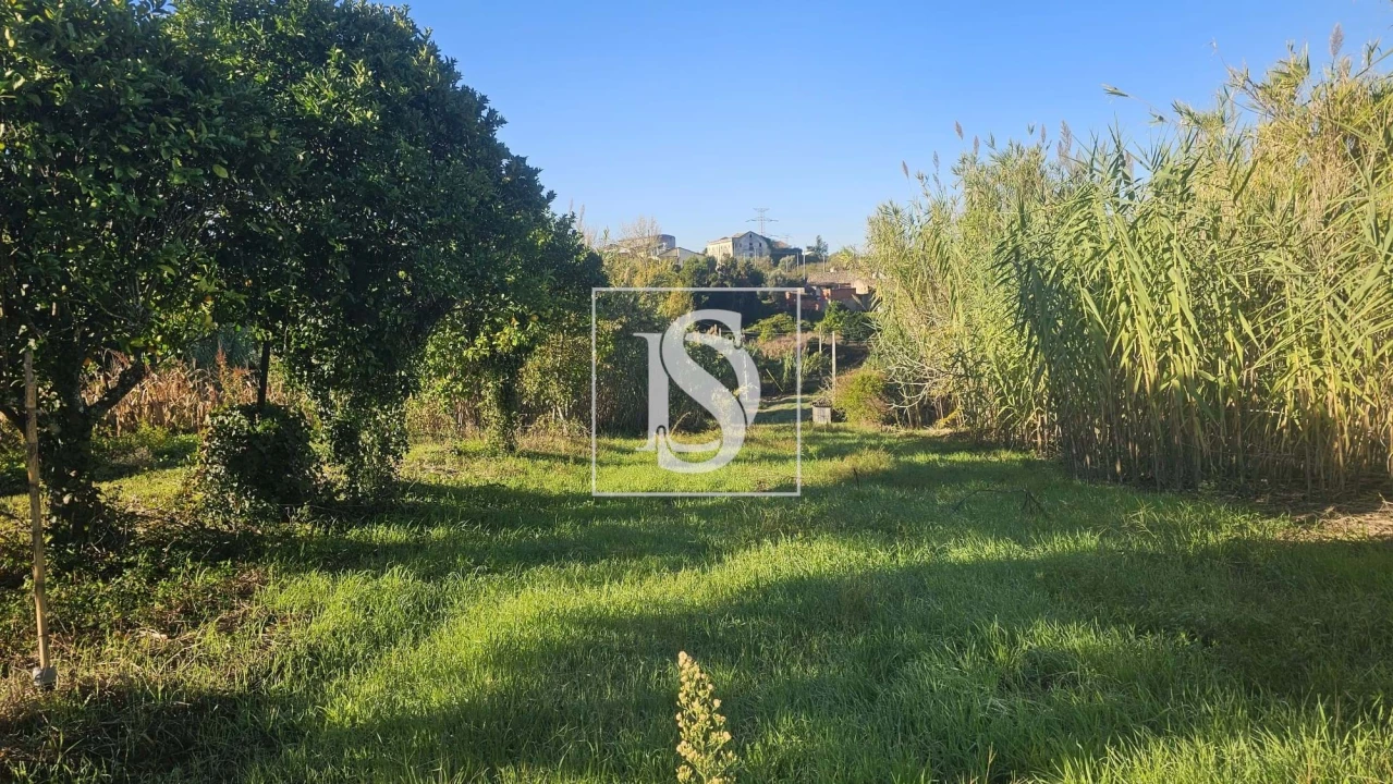 Terreno para Venda em Alqueidão Foto 23