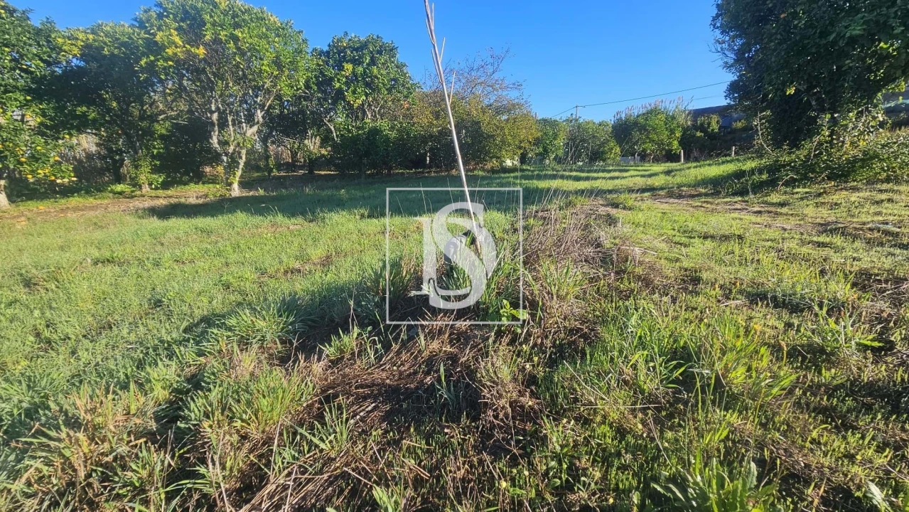 Terreno para Venda em Alqueidão Foto 5