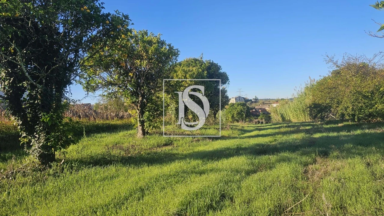 Terreno para Venda em Alqueidão Foto 36