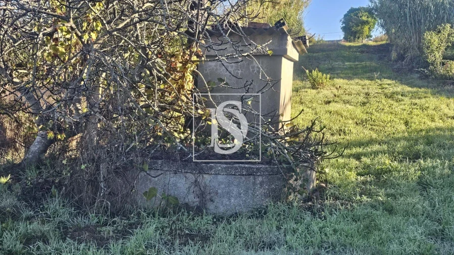 Terreno para Venda em Alqueidão Foto 8