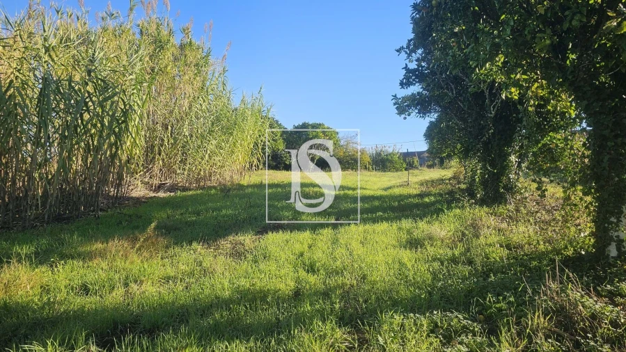 Terreno para Venda em Alqueidão Foto 20