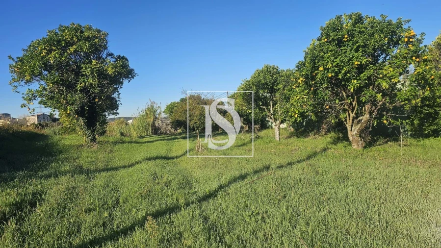 Terreno para Venda em Alqueidão Foto 37