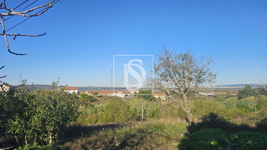 Terreno para Venda em Alqueidão Foto 24